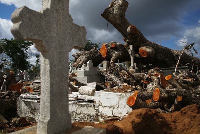 A tree toppled by Hurricane Maria rests over damaged graves in the Villa Palmeras cemetery on 23 December 2017 in San Juan, Puerto Rico.