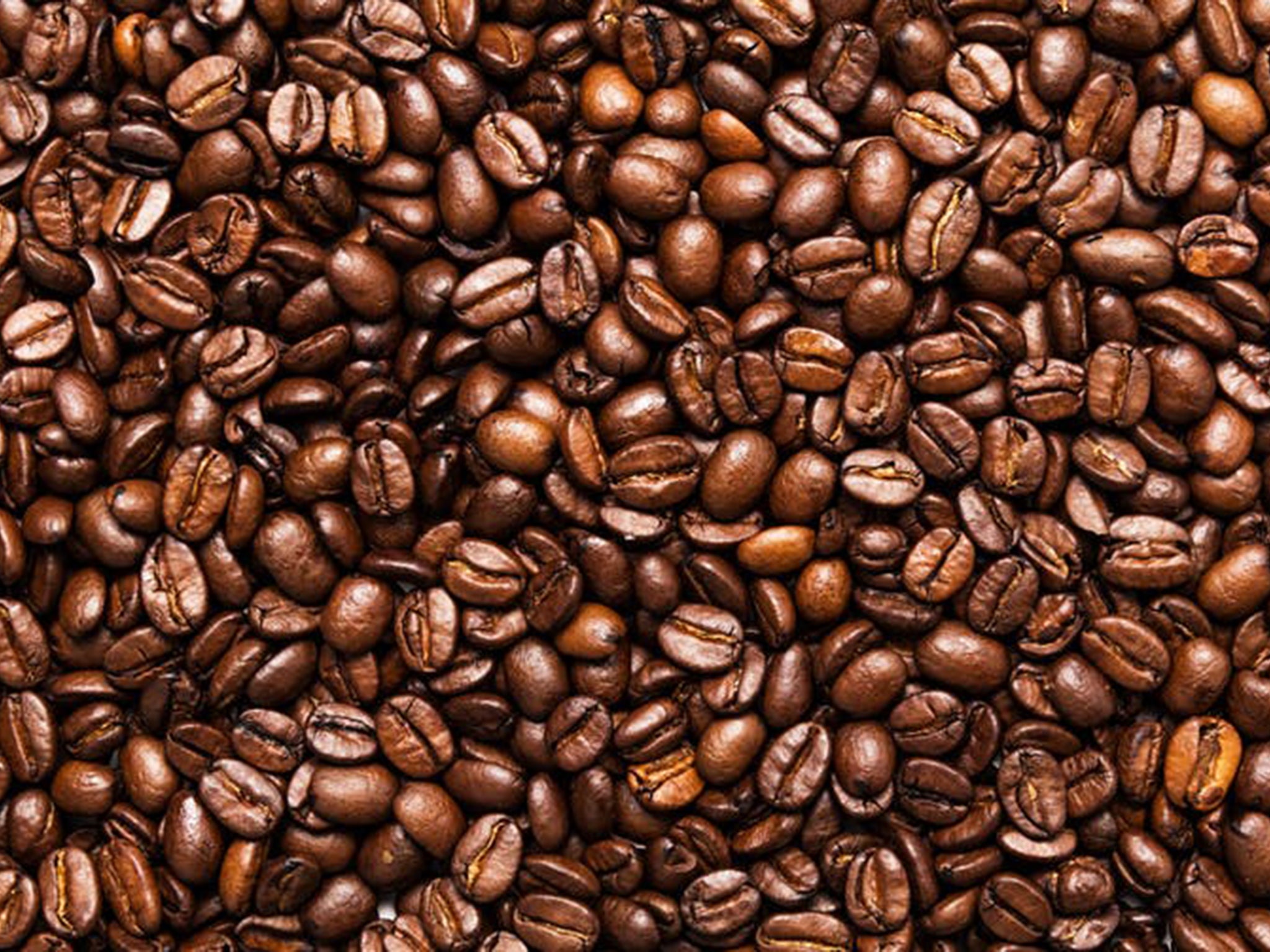 Compounds under study found in coffee beans