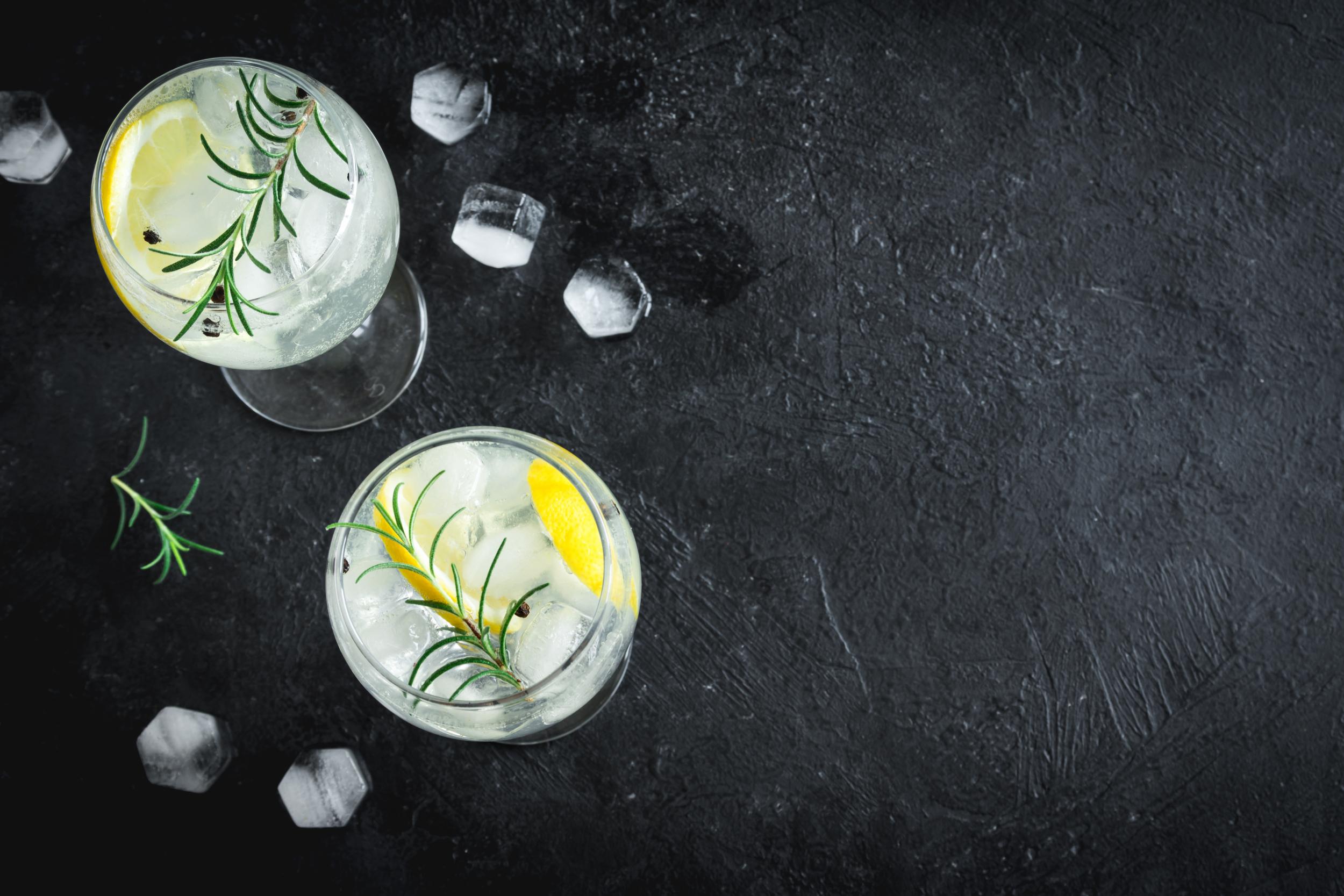 Gin tonic cocktails