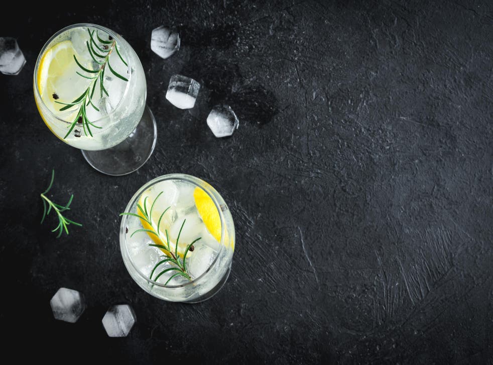 Gin tonic cocktails