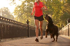 How to run safely with a dog, according to experts
