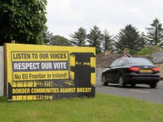 Irish border checks ‘will have to return’ if there is a no-deal Brexit