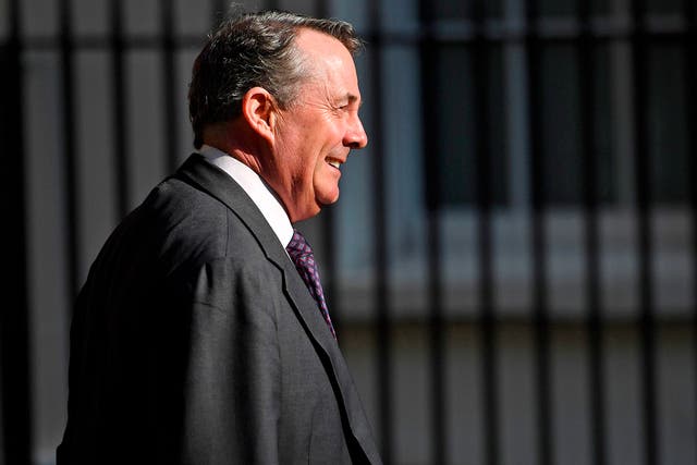 International trade secretary Liam Fox has said the government must 'look' at immigration policy after Brexit