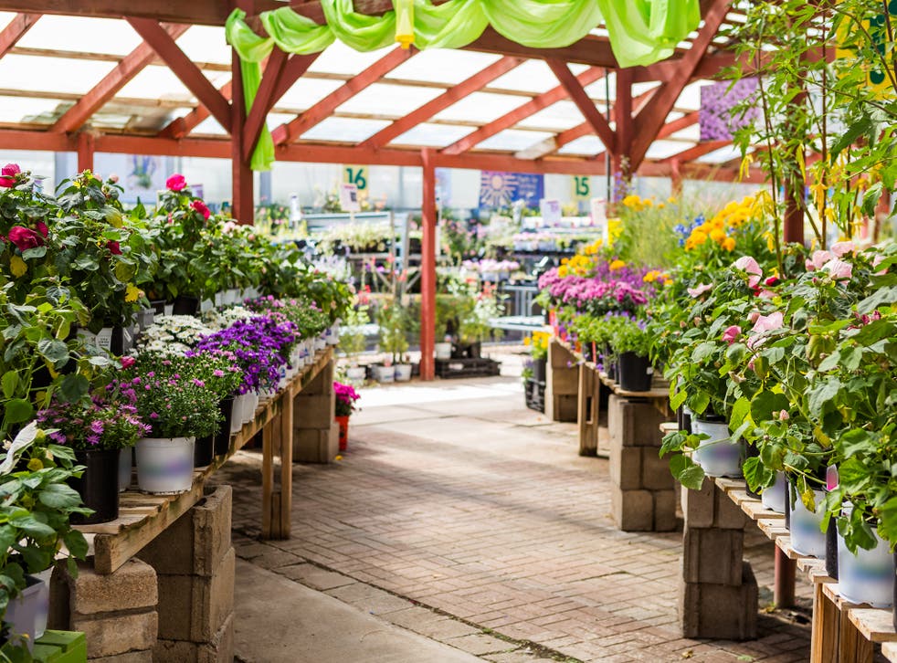 Garden centres and clothes shops saw sales rise as consumers stock up for summer