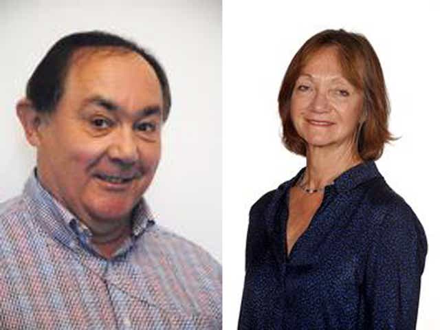 Councillor Ian Hibberd from Southampton and Linda Freedman, a councillor in Barnet, have been suspended