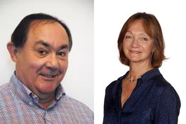 Councillor Ian Hibberd from Southampton and Linda Freedman, a councillor in Barnet, have been suspended