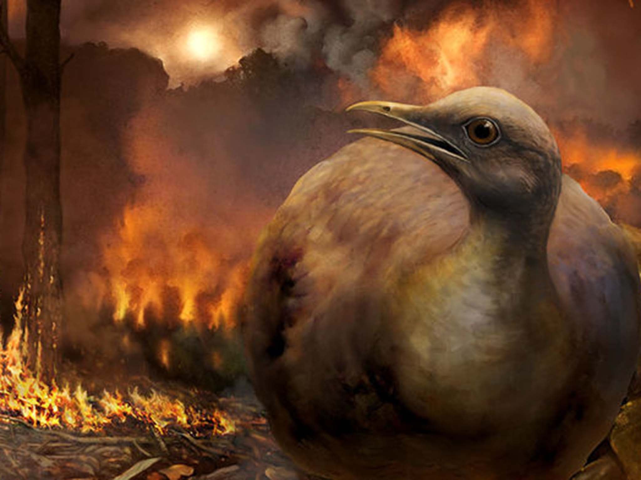 The ancestors of as few as five major bird lineages survived the apocalyptic event