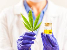 Medical cannabis prescriptions could be made in UK within weeks