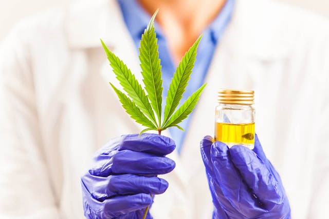 Doctors are already applying for licences to prescribe cannabis