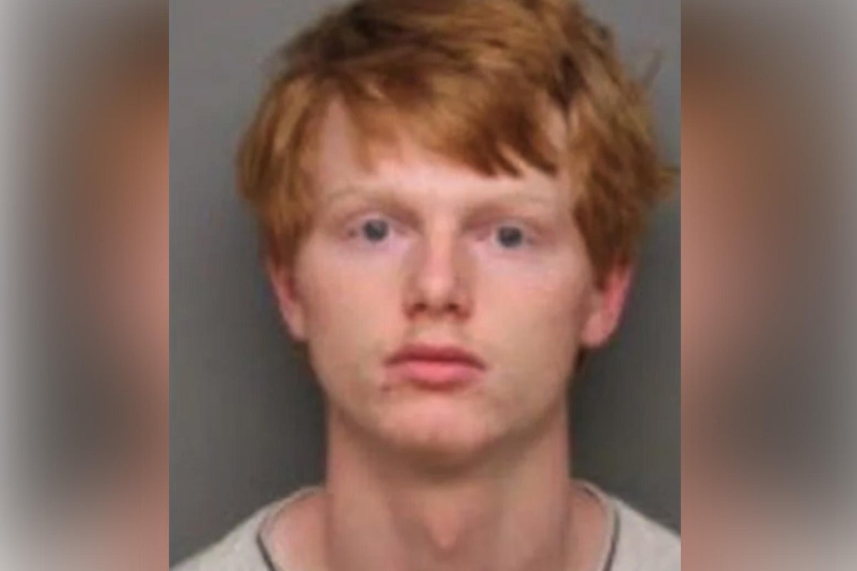 Mother pulls gun on son