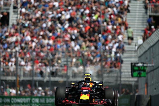 Max Verstappen in action for Red Bull on Friday