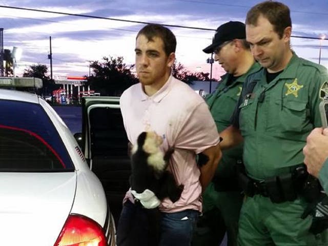 Cody Hession's pet monkey Monk clung to him as he was arrested in Florida for allegedly crashing a stolen car