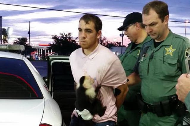 Cody Hession's pet monkey Monk clung to him as he was arrested in Florida for allegedly crashing a stolen car