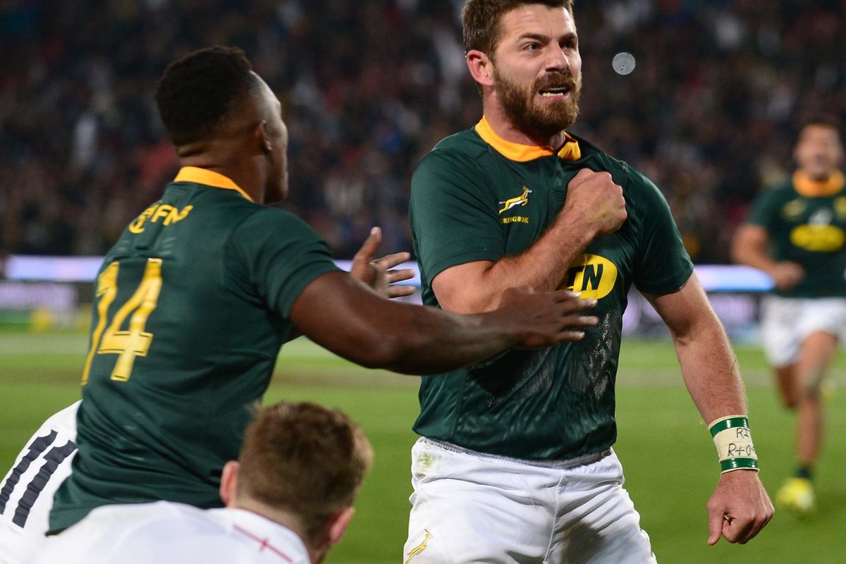 South Africa vs England player ratings: Faf de Klerk and Willie le Roux ...