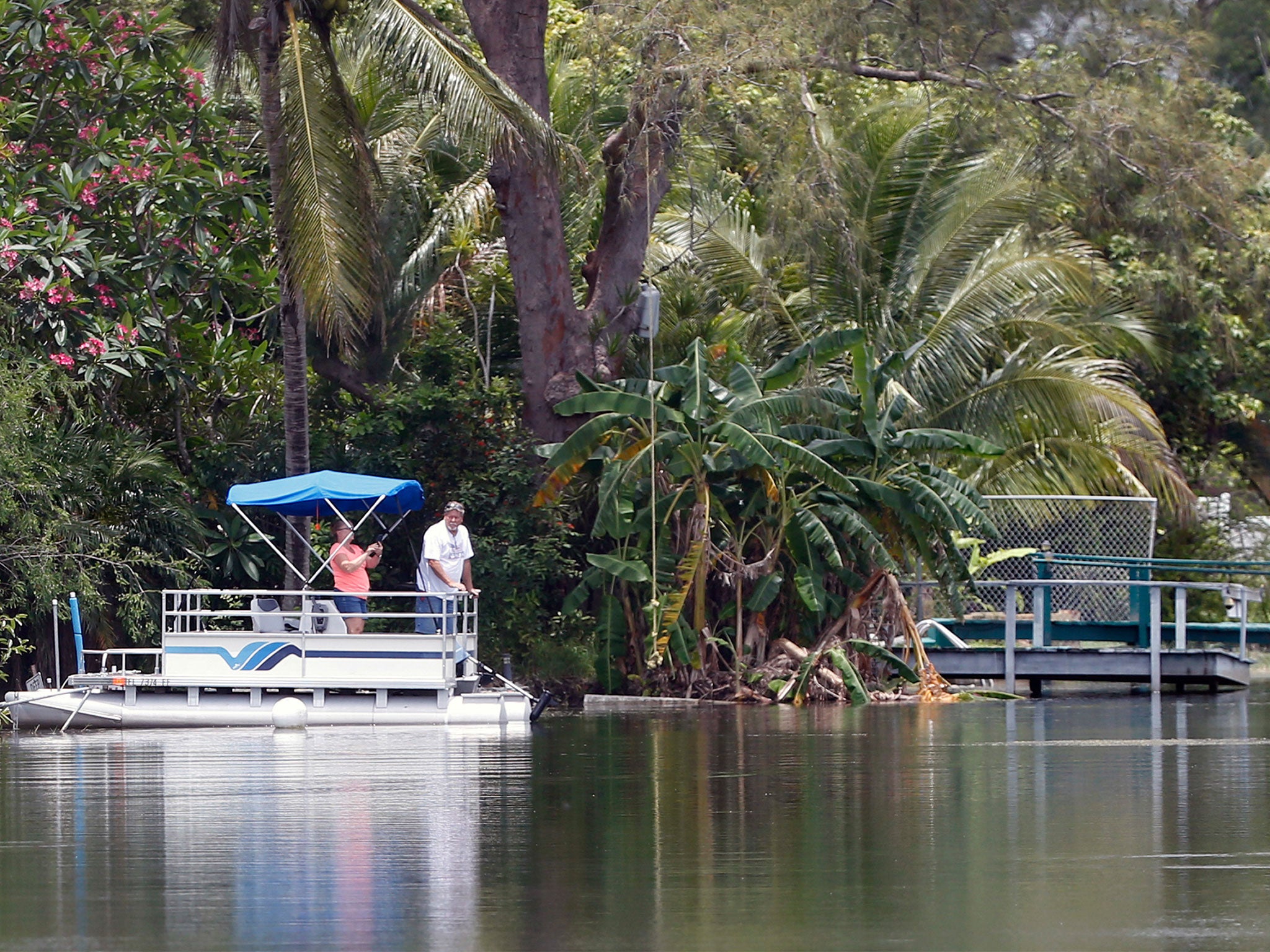 A 47-year-old woman was killed by an alligator at Silver Lakes Rotary Nature Park in Davie, Florida