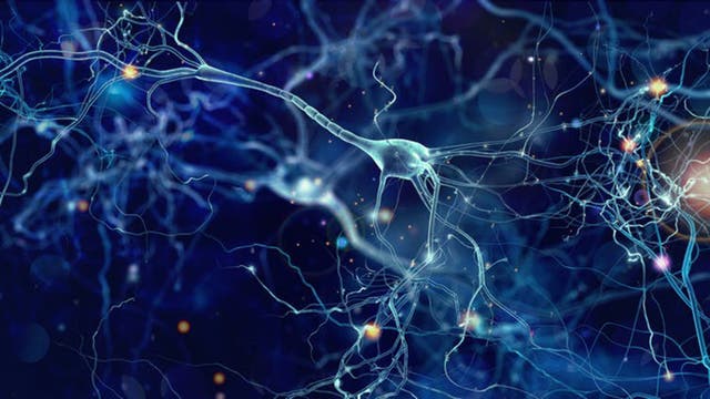 Neurons integral to memory formaiton can be switched on or off at will by allowing DNA-editing viruses to jump across blood-brain barrier