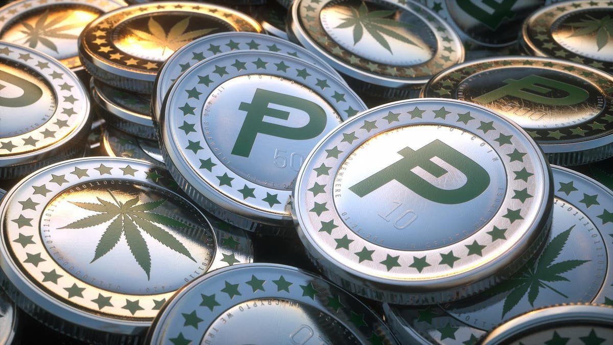 What is potcoin? Marijuana cryptocurrency flies Dennis Rodman to Trump-Kim summit | The Independent | The Independent