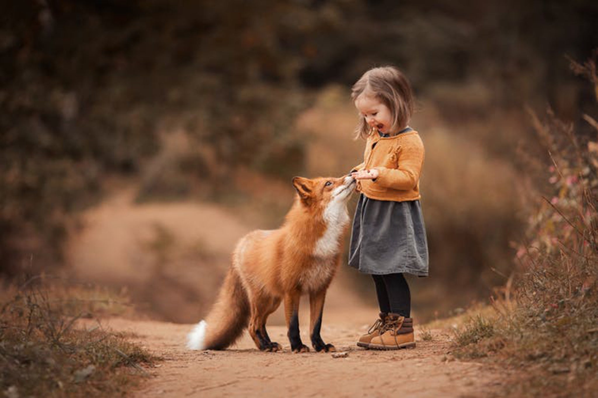 Любовь к животным. Девочка и Лисенок. Девочки животные. Дети природа животные.