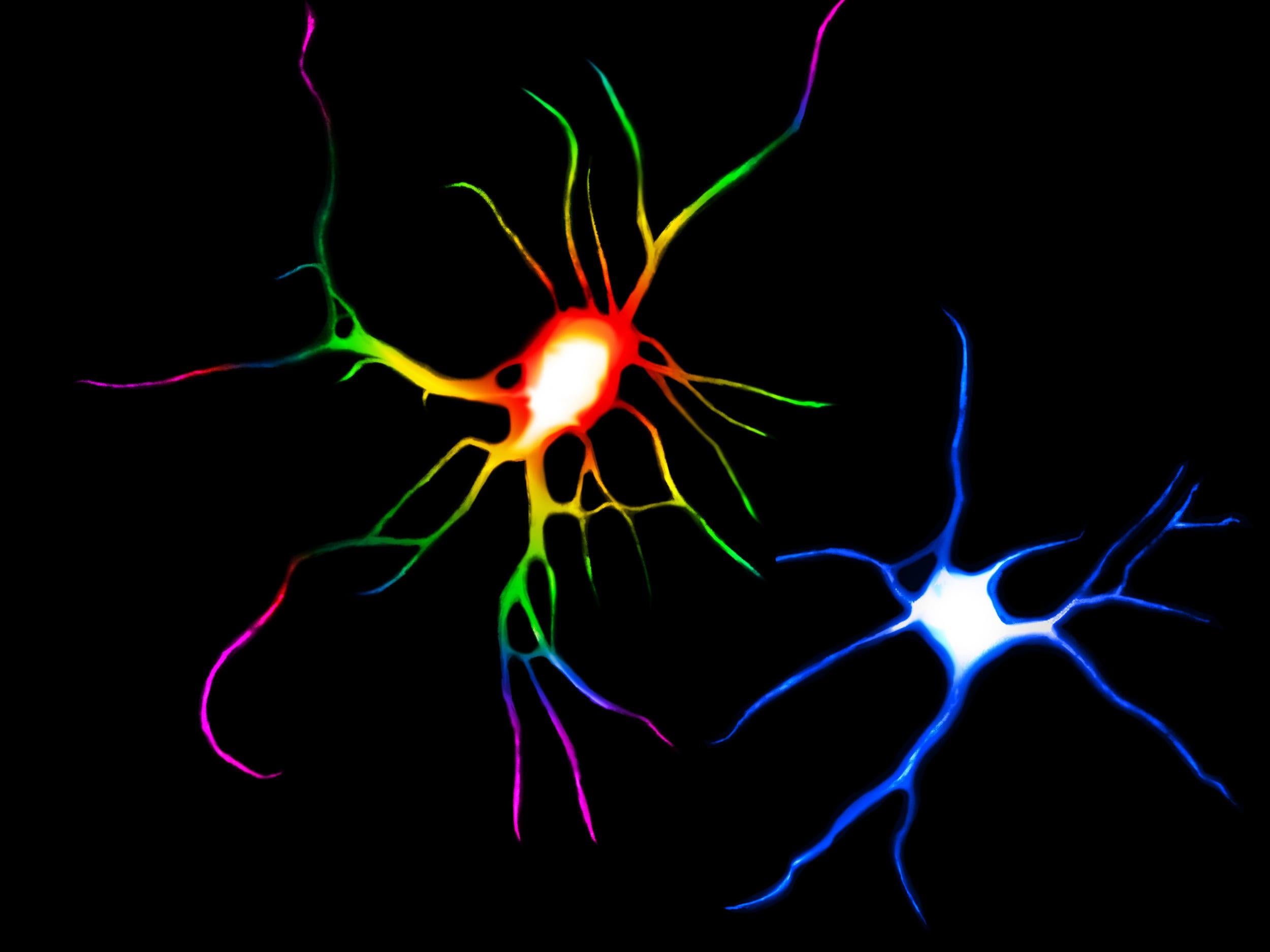 Lsd And Magic Mushrooms Could Heal Damaged Brain Cells In - 