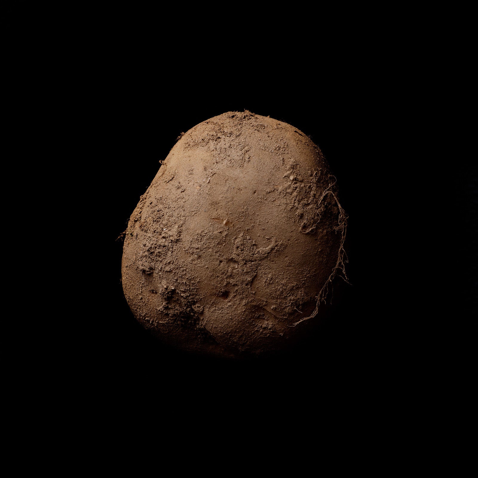 Money is the root of all evil: ‘Potato #345’, a 2010 photograph that sold for €1m