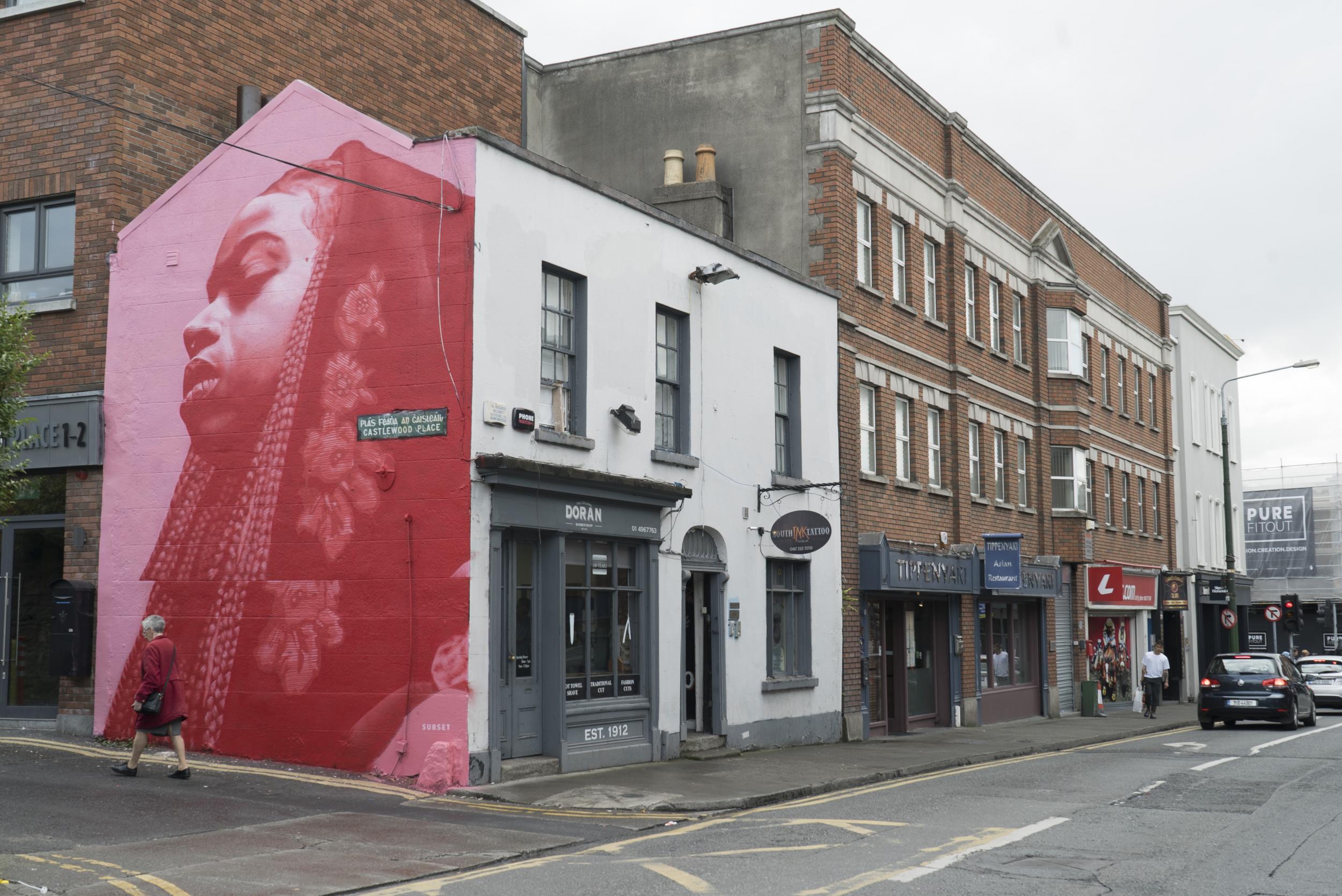 The collective’s ‘Gracie’ mural in Rathmines had to be whitewashed over