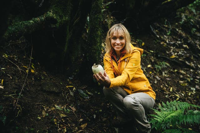 Michaela Strachan sees how Kiwis for kiwi is helping increase numbers of New Zealand's national icon