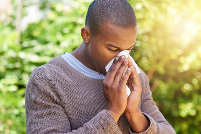 Up to 400 million people worldwide suffer from allergic reactions to airborne pollen from trees, grasses and weeds
