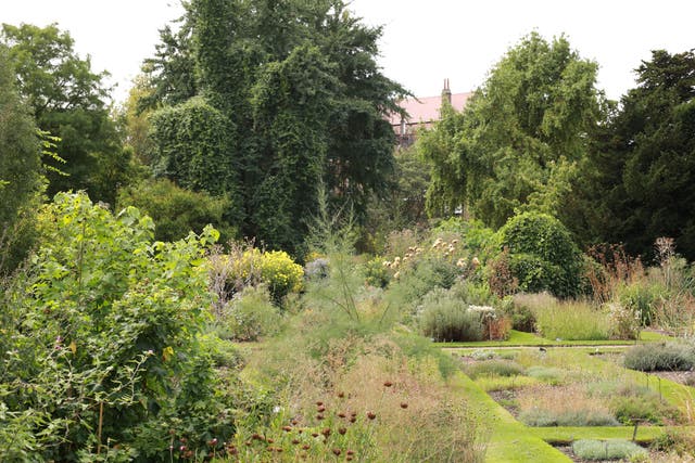Nature loving dads will love exploring Chelsea Physic Garden