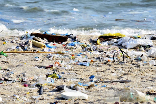 The amount of debris ending up in oceans each year is severely damaging the environment