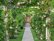 Heaven is a Shropshire garden centre – trust me
