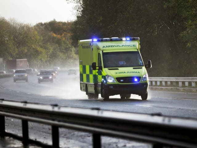 <p>The fog of the war against coronavirus is clearing to reveal the scene of devastation left behind</p>