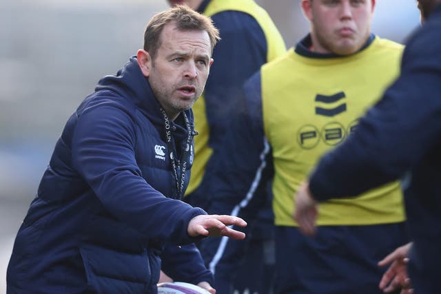 Danny Wilson will not join Wasps after agreeing a deal with Scotland