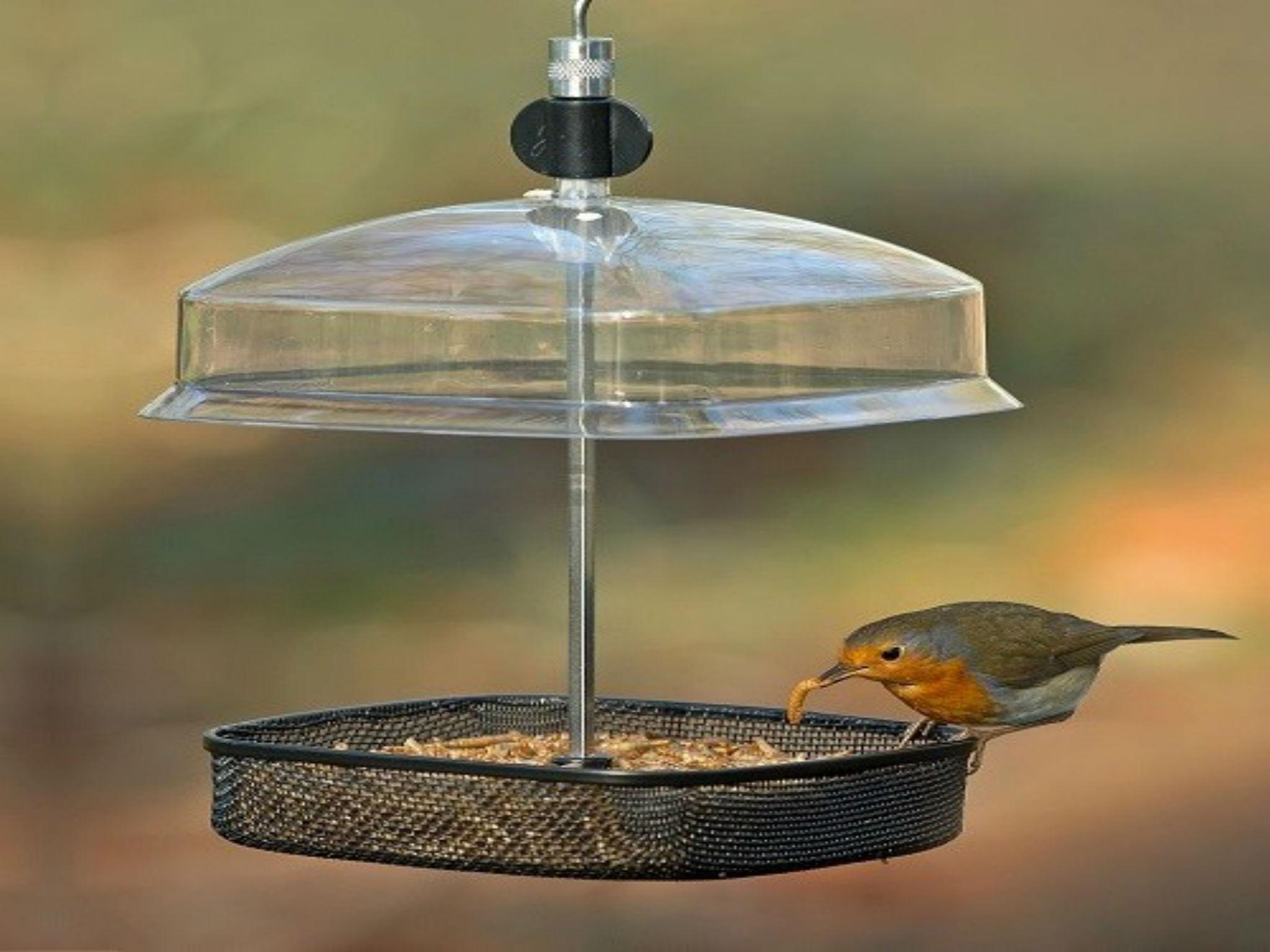 10 Best Bird Boxes The Independent