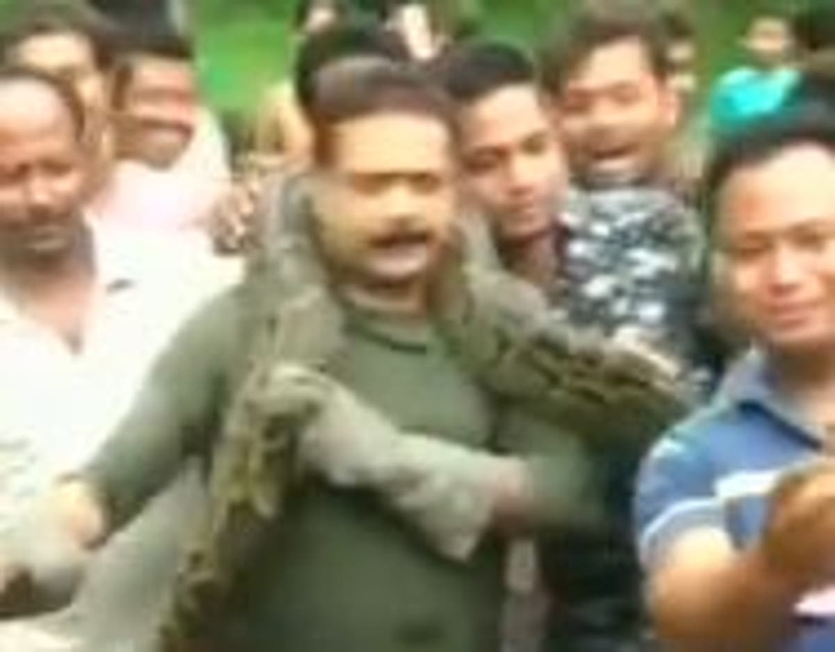Man rescues 18ft python before snake almost strangles him as he poses ...