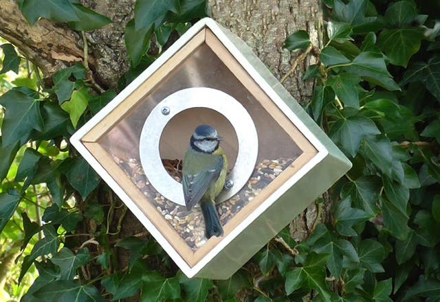 Simon King urban bird feeder squares the circle on feeding the feathered