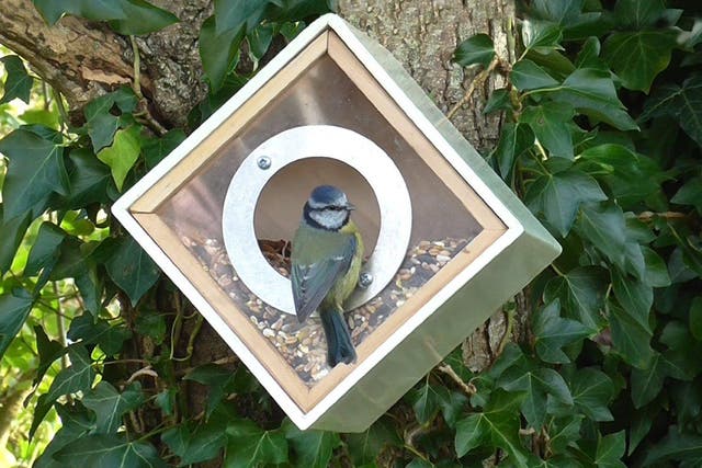Simon King urban bird feeder squares the circle on feeding the feathered