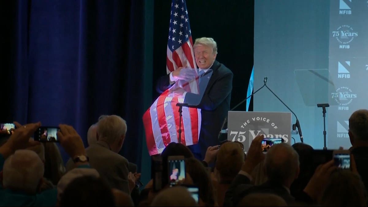 Donald Trump hugs American flag as he is applauded for anti-immigration ...