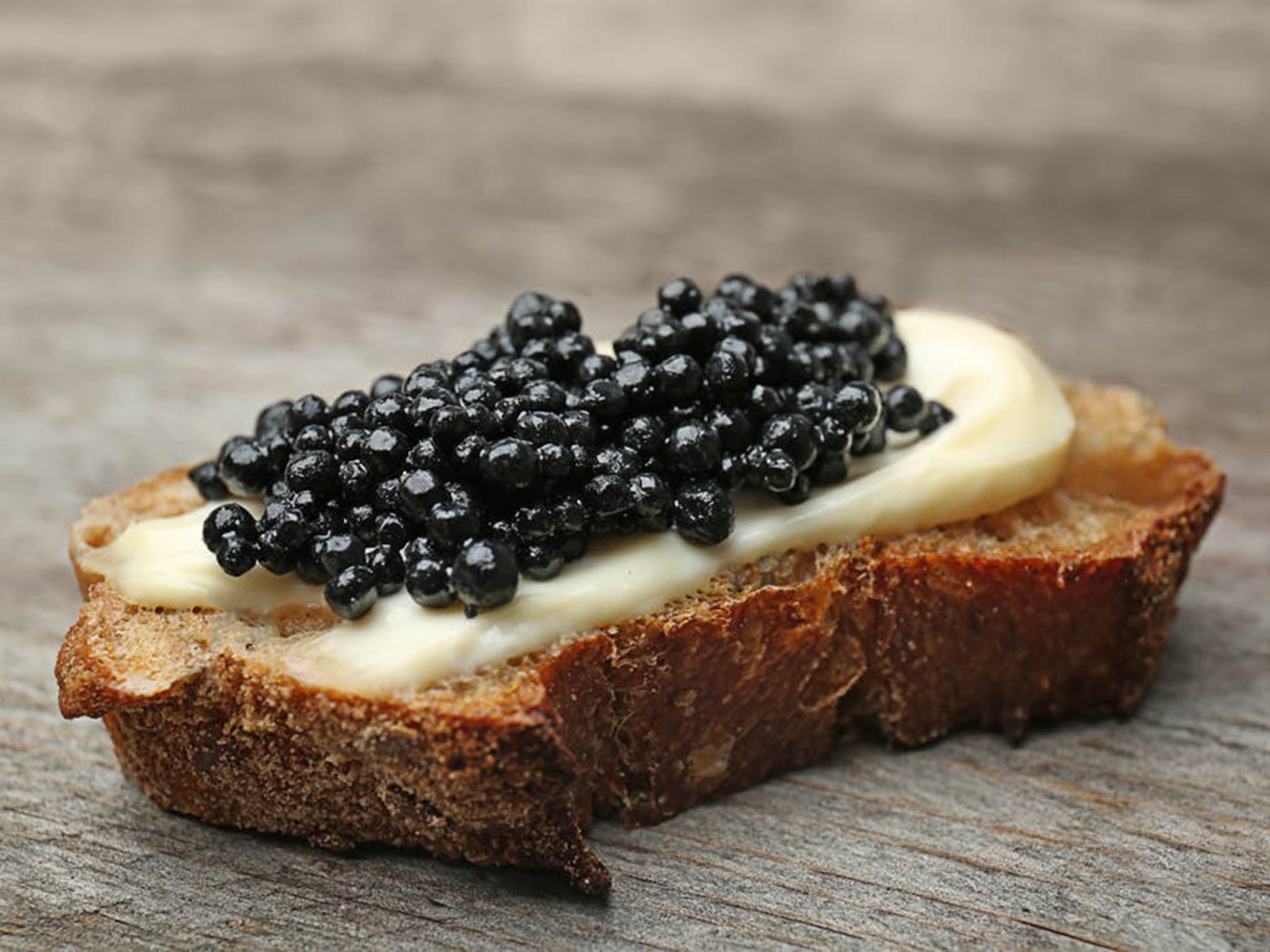 Russian Czar Beluga Sturgeon Caviar