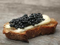 How a Russian power plant almost wiped out the world’s finest caviar fish