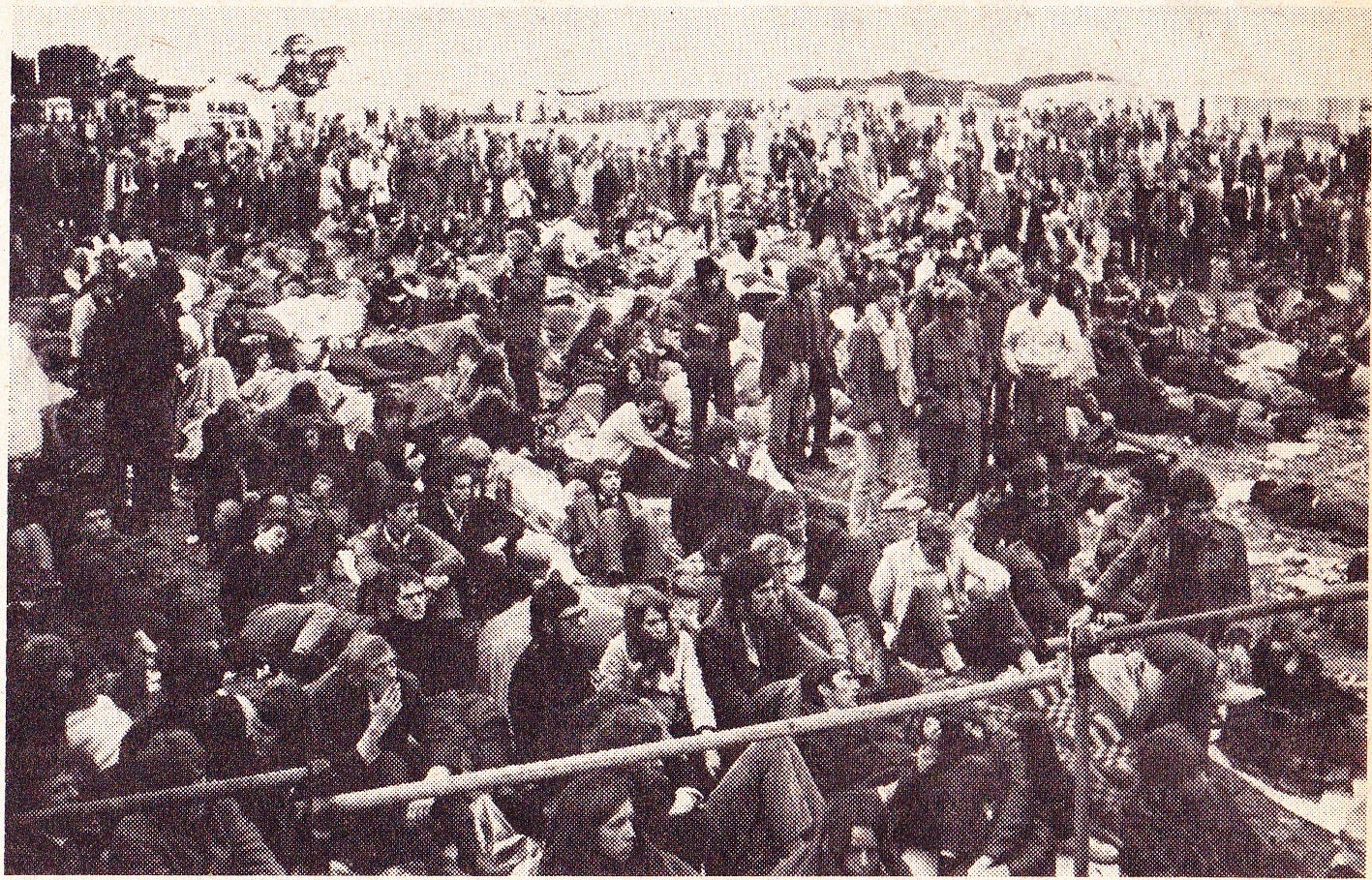 The 1968 festival