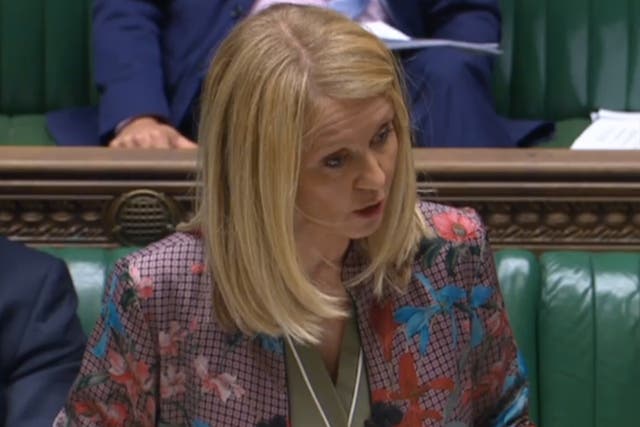 Esther McVey, secretary of state for work and pensions, has been urged not to withdraw support for the Pensions Dashboard