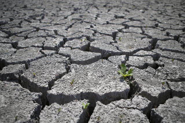Agriculture will suffer if land degradation continue at current rates, particularly in India, China and sub-Saharan Africa