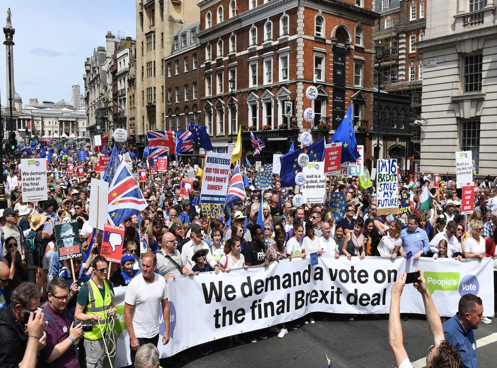 Organisers said 100,000 people had attended the People's Vote March in central London