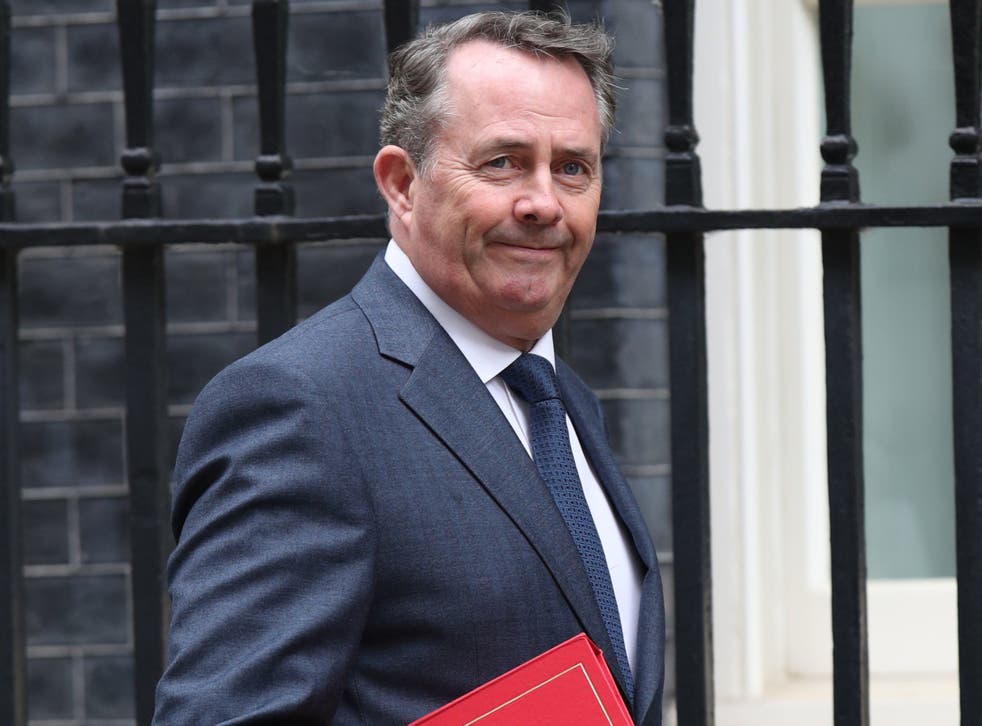 International Trade Secretary Liam Fox: Some 20 NGOs have warned that his Brexit Trade Bill is set up to trample on disabled people's rights 