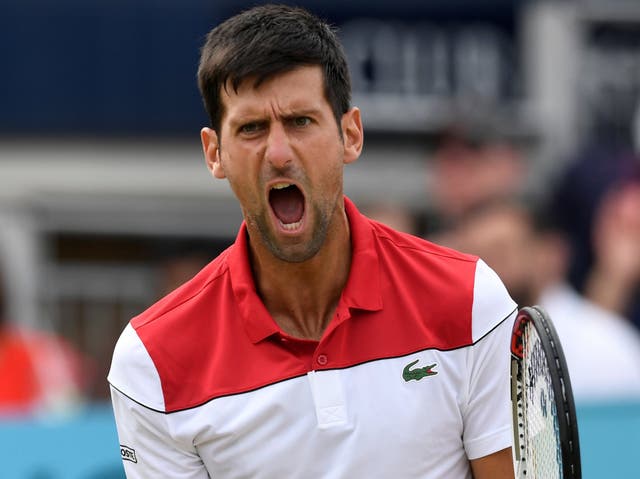 Novak Djokovic celebrates following his semi-final victory over Jeremy Chardy at Queen's