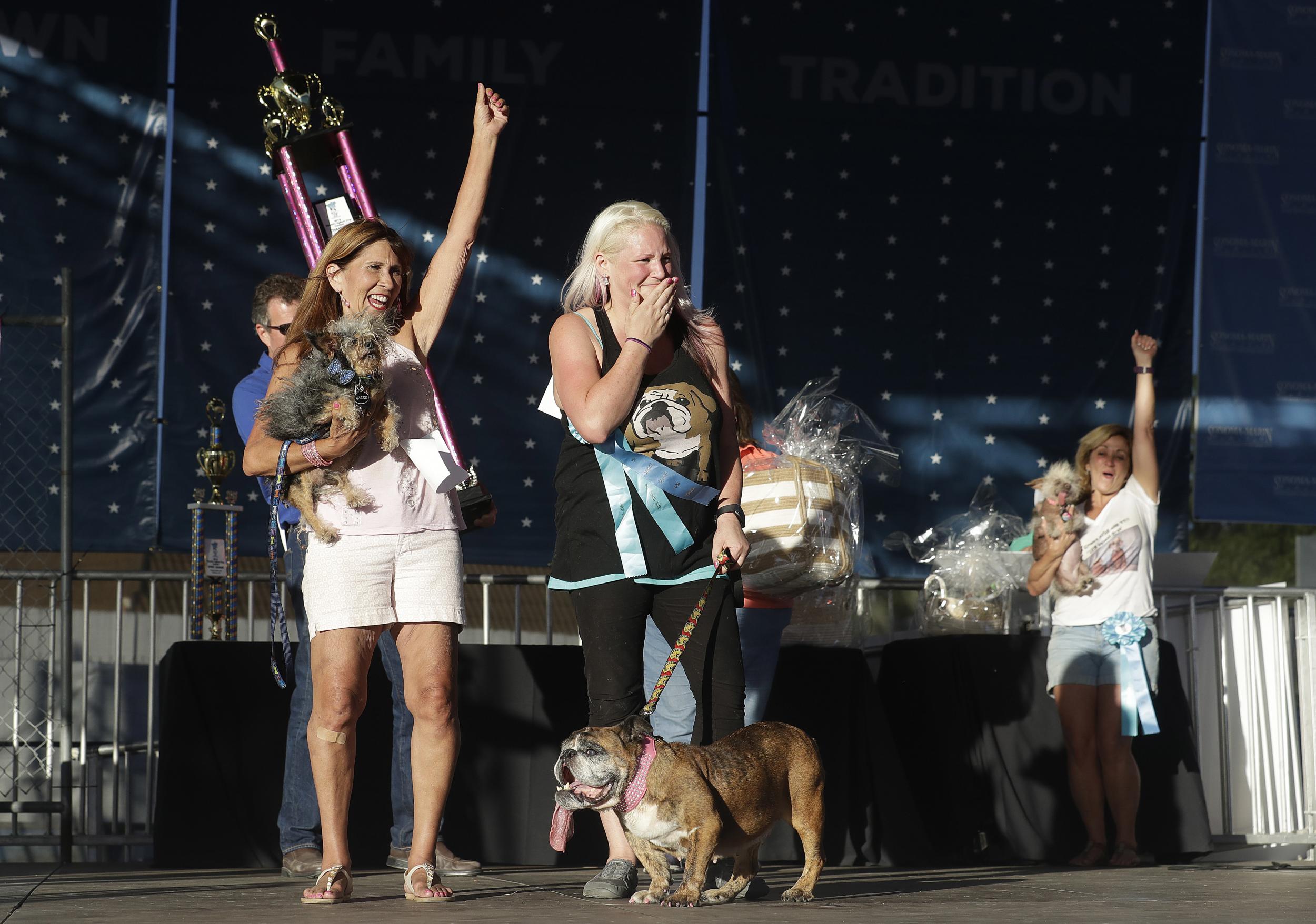 World's Ugliest Dog 2018