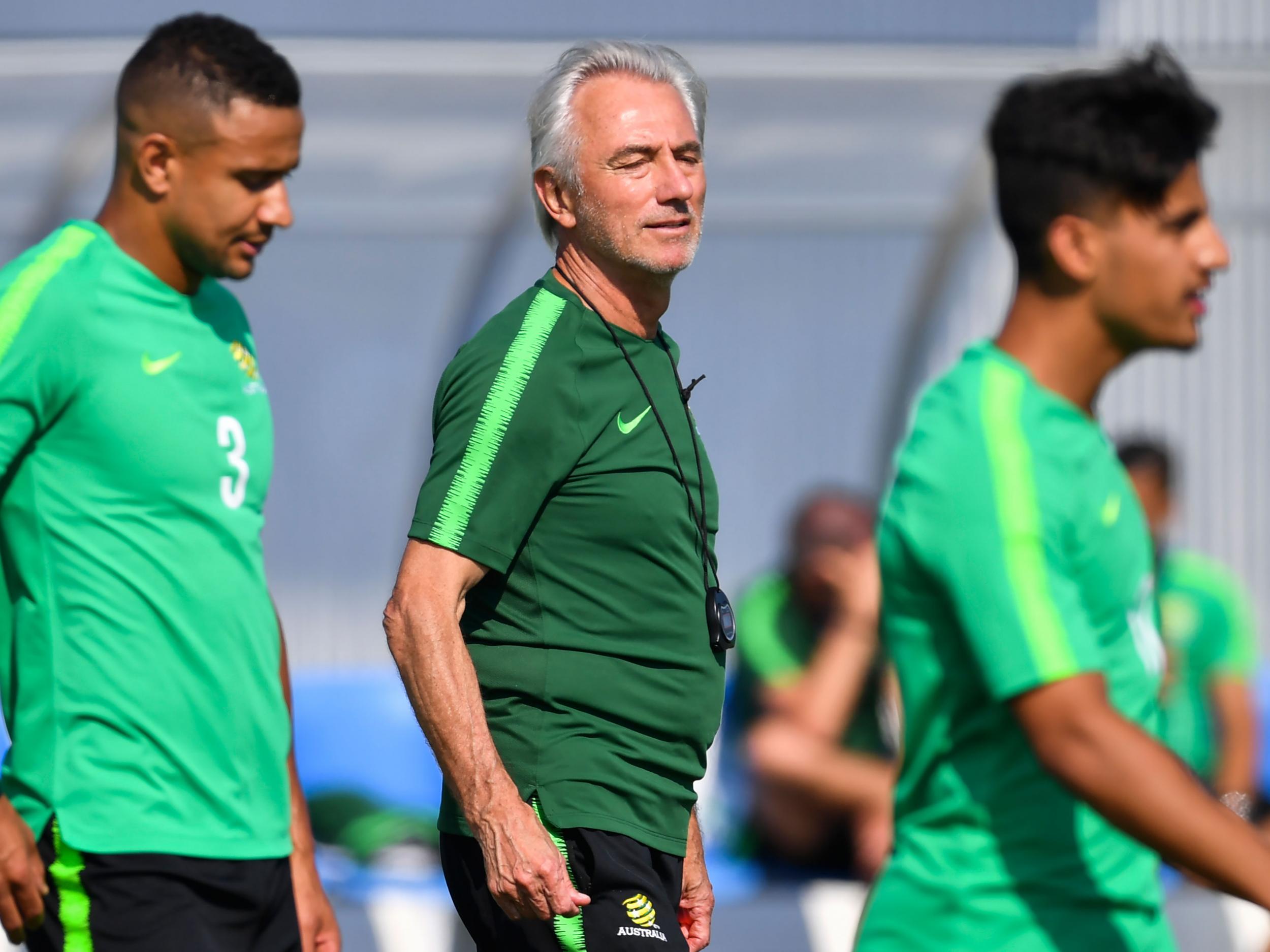 Bert van Marwijk took the Netherlands to the 2010 World Cup final