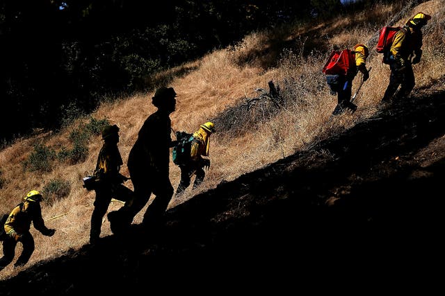 Members of the emergency services ascend the city’s woodland hills, looking for fuel that could power catastrophic wildfires