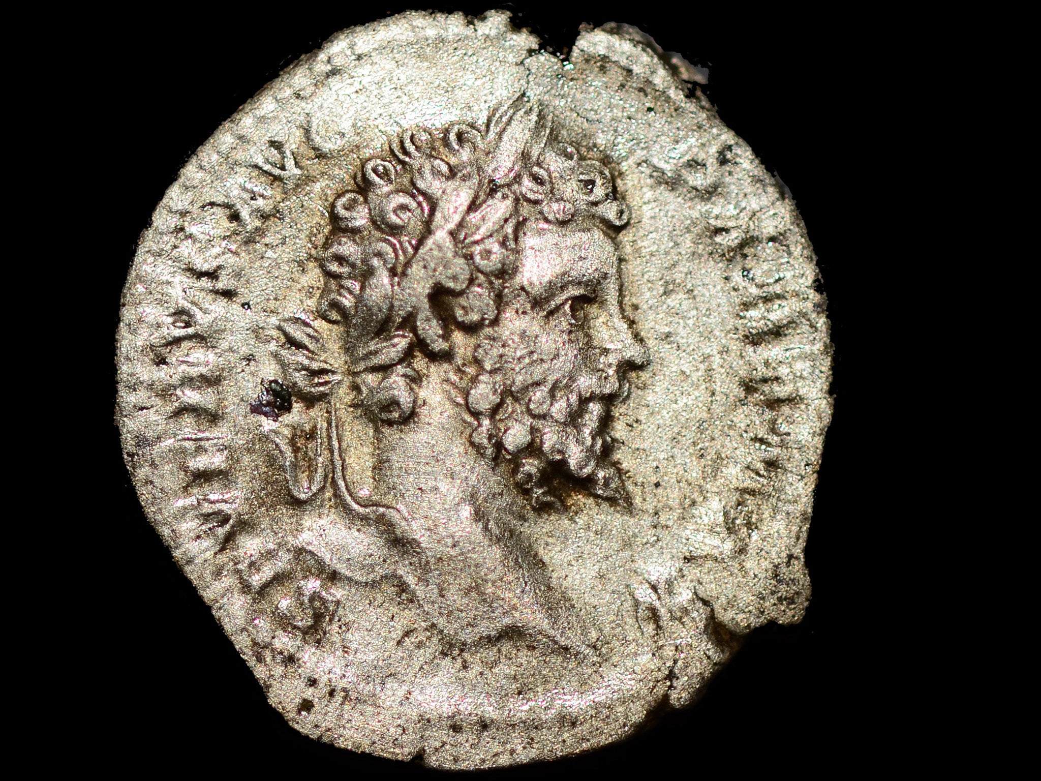 A coin discovered at Vindolanda. It features a portrait of the Roman emperor Septimius Severus – the man who ordered and led the invasion (Vindolanda Trust)