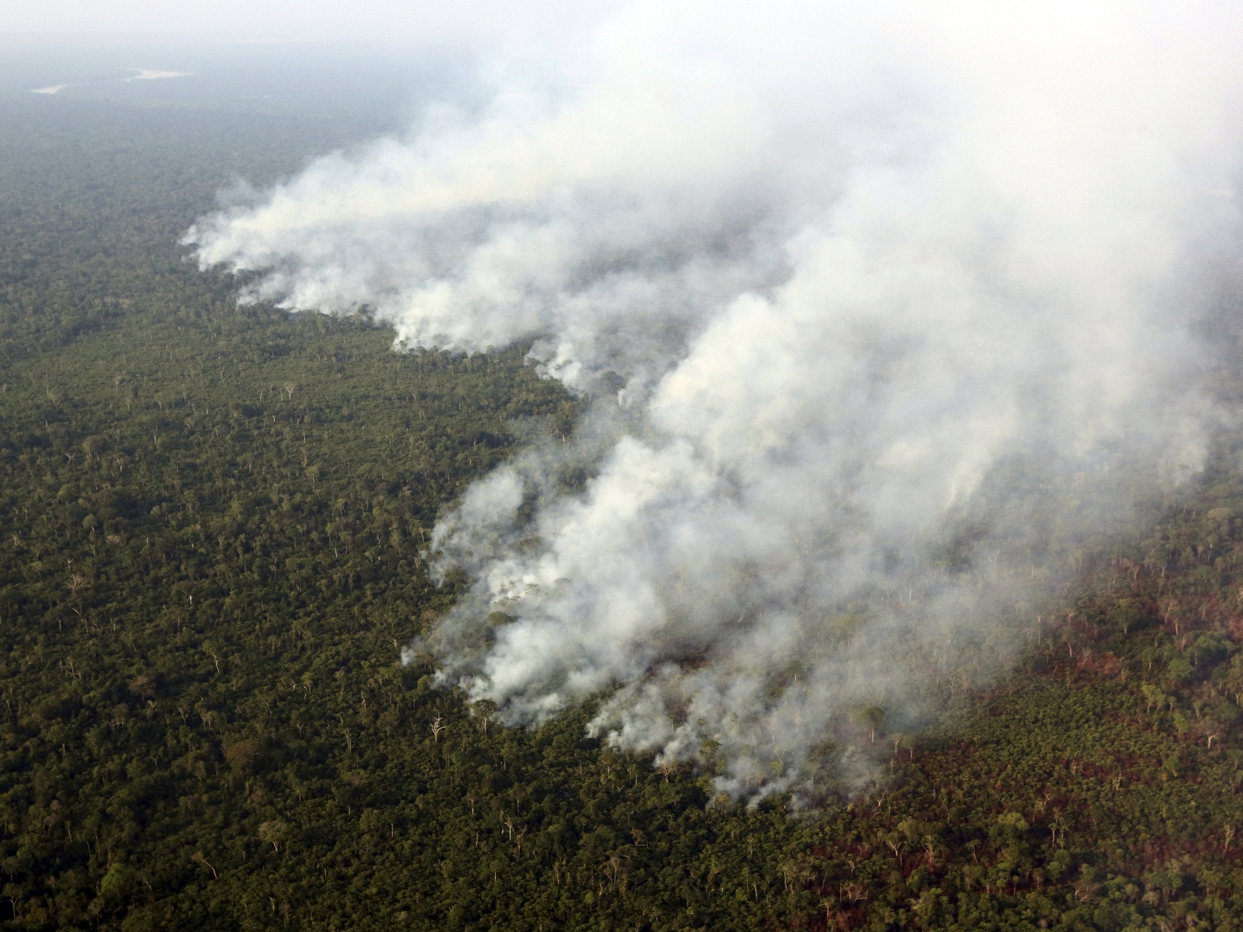 Smoke billows from a fire in the Amazon rainforest in Brazil. About 30 per cent of all tropical rainforest losses last year were in the country